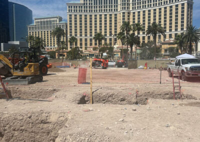 Bottled Blonde Electrical Contractor